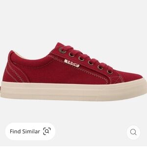 Taos Plim Soul Canvas Sneaker